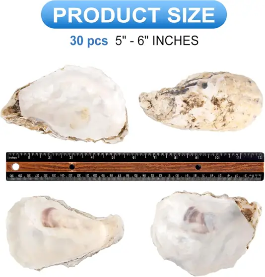 QEQEKAKA 30PCS Large Oyster Shells… — Photo 3