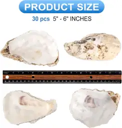 QEQEKAKA 30PCS Large Oyster Shells… — Photo 3