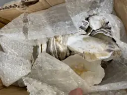 QEQEKAKA 30PCS Large Oyster Shells… — Photo 5