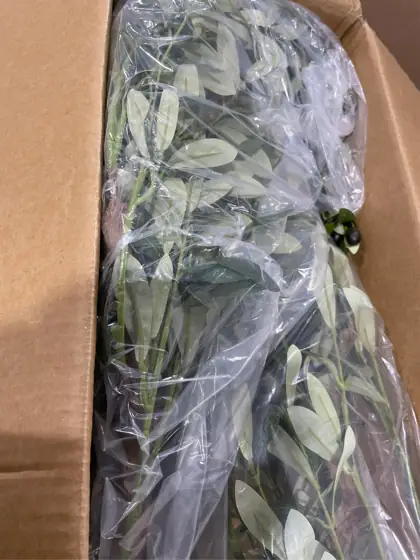 6ft Faux Olive Tree with… — Photo 7