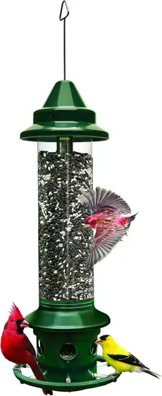 Squirrel Buster Plus Squirrel-Proof Bird… — Photo 1