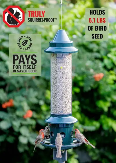 Squirrel Buster Plus Squirrel-Proof Bird… — Photo 3