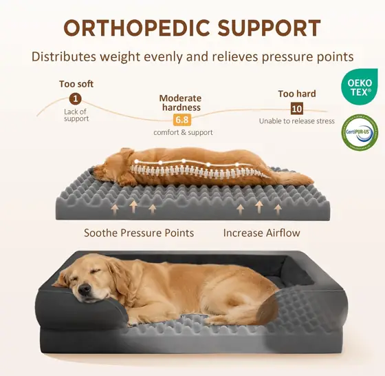 Comfort Expression Waterproof Orthopedic Dog… — Photo 2