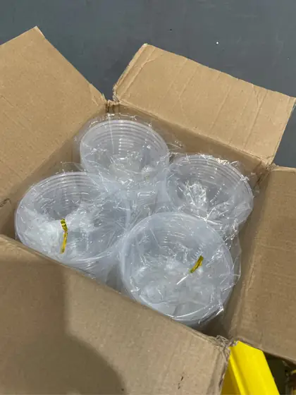 FOCUSLINE 200 Pack 12 oz… — Photo 4