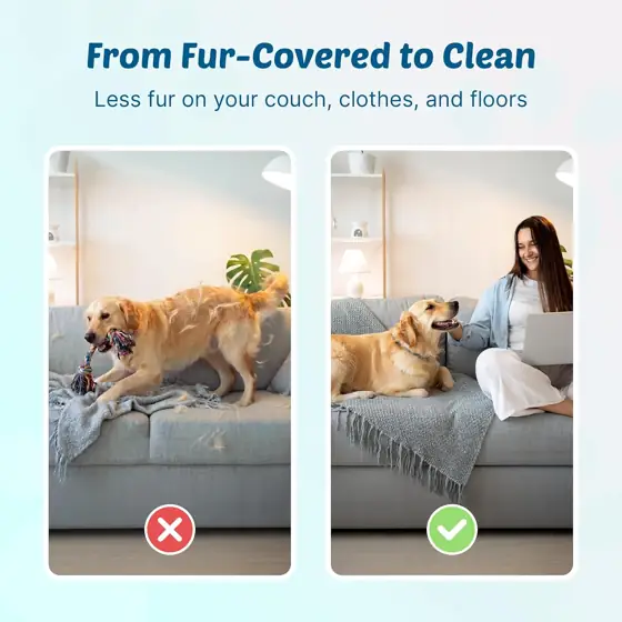GroomPro Dog Deshedding Brush |… — Photo 3