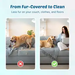 GroomPro Dog Deshedding Brush |… — Photo 3