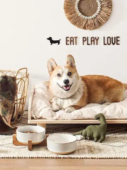 LE TAUCI PET Dog Bowls… — Photo 2