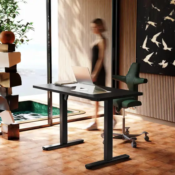 HUANUO 48x24 Electric Standing Desk,… — Photo 2