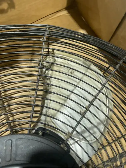 Mainstays 20" 3-Speed High Velocity… — Photo 5