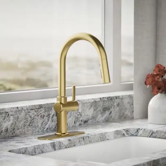 Clarus Single Handle Pull Down… — Photo 2
