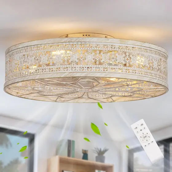 SHLUCE 22" Caged Ceiling Fan… — Photo 1