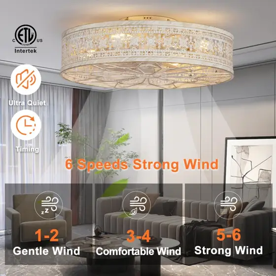 SHLUCE 22" Caged Ceiling Fan… — Photo 2