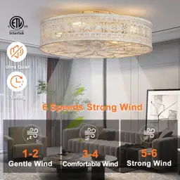 SHLUCE 22" Caged Ceiling Fan… — Photo 2