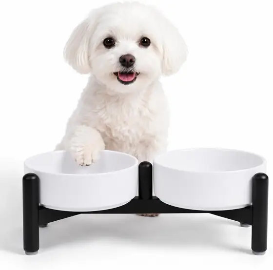 Raised Ceramic Dog Bowl Set… — Photo 1