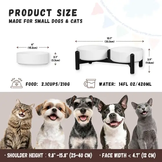 Raised Ceramic Dog Bowl Set… — Photo 2