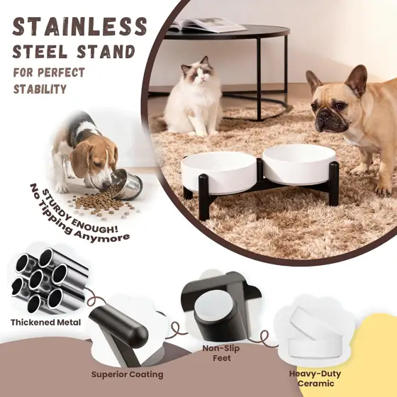 Raised Ceramic Dog Bowl Set… — Photo 3