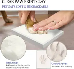 MYPAWLETS Clay Paw Print Kit… — Photo 3