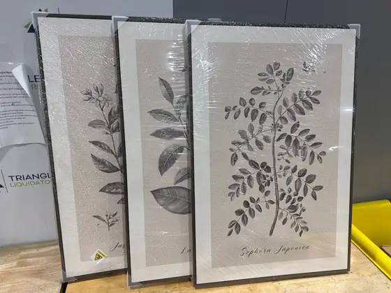 3 Piece Vintage Botanical Wall… — Photo 5
