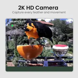Smart Bird Feeder with Camera,… — Photo 2