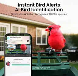 Smart Bird Feeder with Camera,… — Photo 3