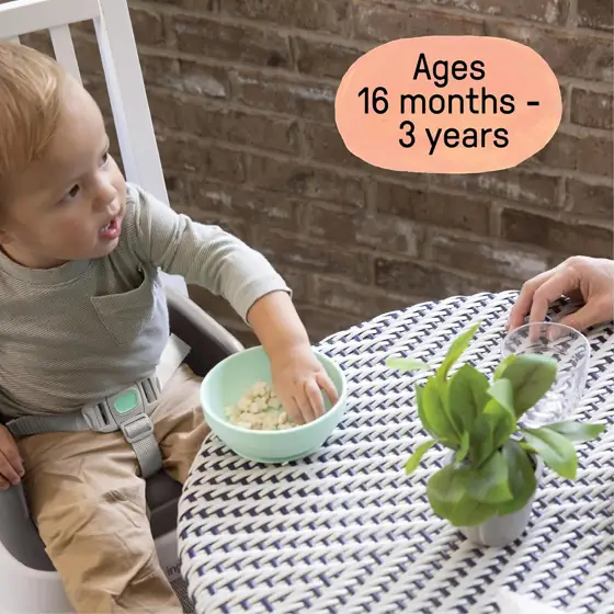 Ingenuity SmartClean Toddler Booster Seat… — Photo 3