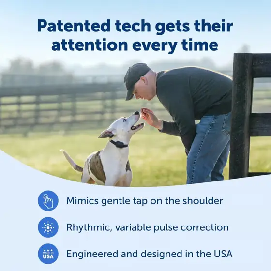 PetSafe Core Dog Trainer with… — Photo 4