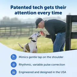 PetSafe Core Dog Trainer with… — Photo 4