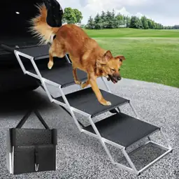 DGSL Folding Dog Stairs for… — Photo 1