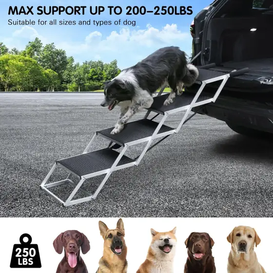 DGSL Folding Dog Stairs for… — Photo 2