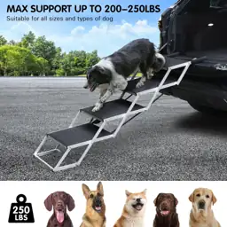 DGSL Folding Dog Stairs for… — Photo 2