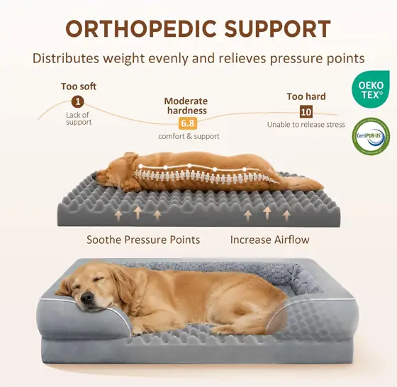 Comfort Expression Waterproof Orthopedic Dog… — Photo 2