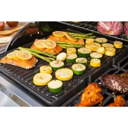 Gourmet Pro 4 Burner Propane… — Photo 2