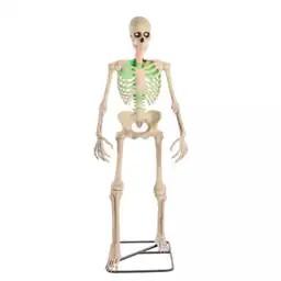 6.5 ft. Grave & Bones… — Photo 1