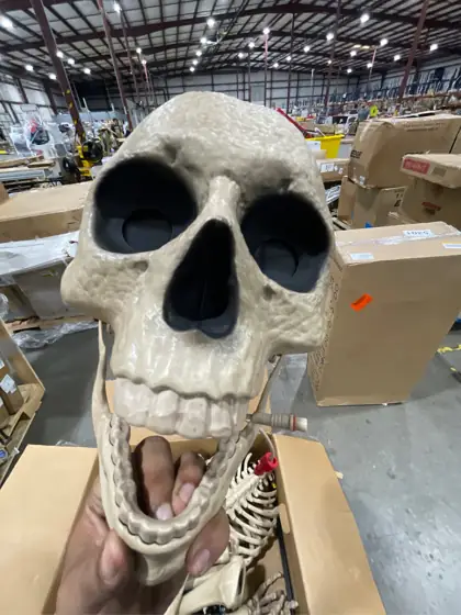 6.5 ft. Grave & Bones… — Photo 8