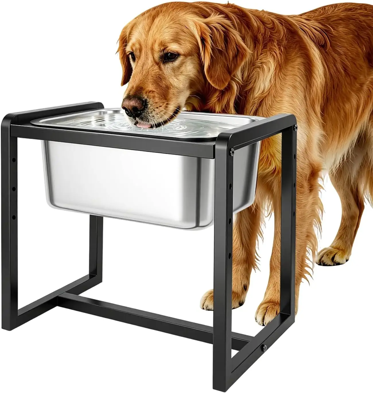 Adjustable Height Elevated Dog Water… — Photo 1
