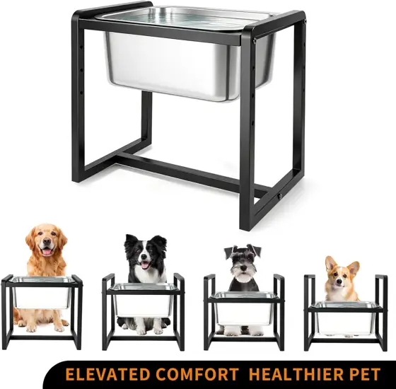 Adjustable Height Elevated Dog Water… — Photo 2