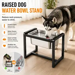 Adjustable Height Elevated Dog Water… — Photo 4