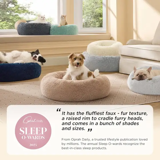 Bedsure Calming Dog Bed Medium… — Photo 2