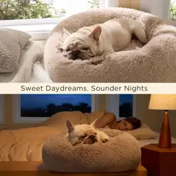 Bedsure Calming Dog Bed Medium… — Photo 4