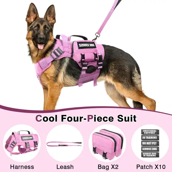 WINSEE Tactical Dog Harness with… — Photo 2