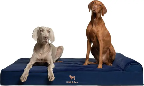 NOAH & PAW Giant Dog… — Photo 1