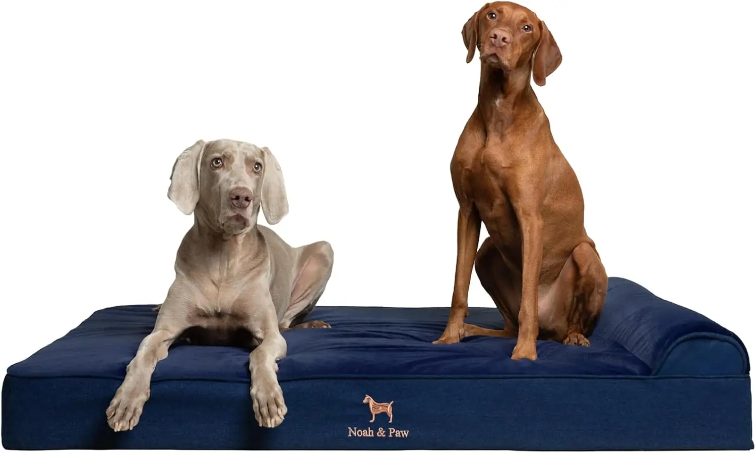 NOAH & PAW Giant Dog… — Photo 1