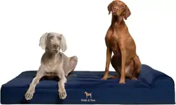 NOAH & PAW Giant Dog… — Photo 1