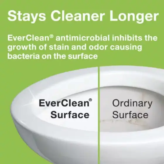 Cadet EverClean Pressure-Assisted 1.1/1.6 GPF… — Photo 3