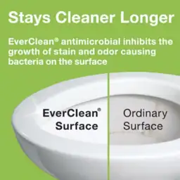Cadet EverClean Pressure-Assisted 1.1/1.6 GPF… — Photo 3