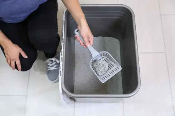 Petmate Enclosed Cat Litter Box… — Photo 4
