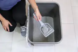 Petmate Enclosed Cat Litter Box… — Photo 4