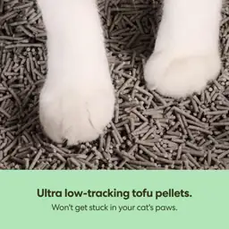 Tuft & Paw Really Great… — Photo 2
