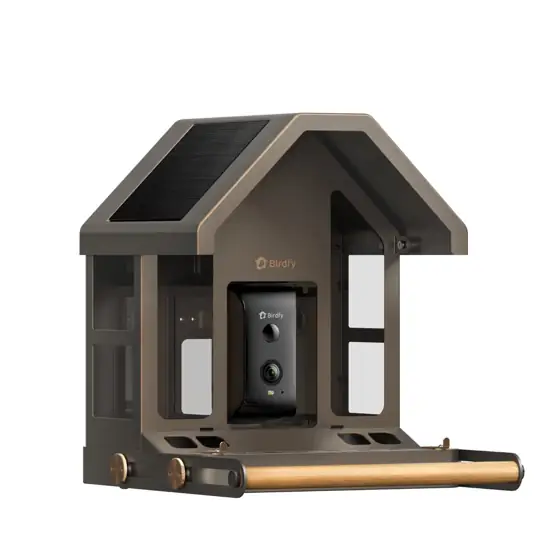 Birdfy Smart Metal Bird Feeder… — Photo 4