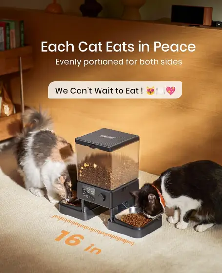 oneisall Automatic Cat Feeder for… — Photo 2